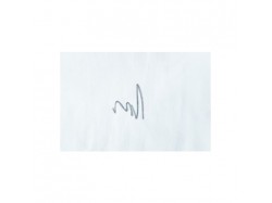 Щетка для чистки одежды Electrolux - E 4 WMSTPN 1