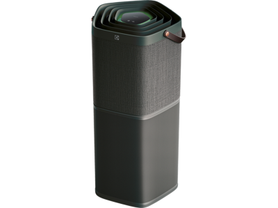 Воздухоочиститель Electrolux - PA 91-604 DG