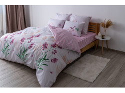 Комплект постільної білизни ТЕП "Soft dreams" 338 Aurora, 70x70 євро
